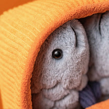 Load image into Gallery viewer, Jellycat Amusables Sardines Tin