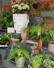 Load image into Gallery viewer, Flowers