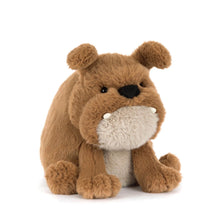 Load image into Gallery viewer, Jellycat Derreck Dog
