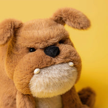Load image into Gallery viewer, Jellycat Derreck Dog
