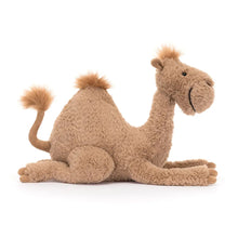 Load image into Gallery viewer, Jellycat Richie Dromedary Camel
